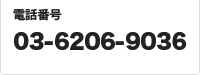 03-6206-9036